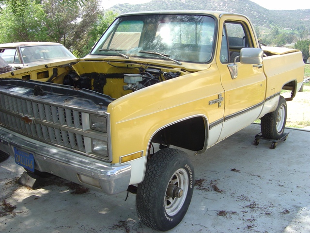 1981 Truck. I had a Suburban of same vintage that was the same color.